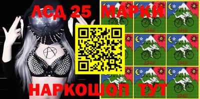 индика Кулебаки