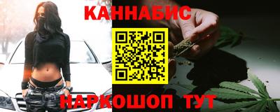 индика Кулебаки